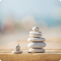 Wellness, Mídia e Entretenimento